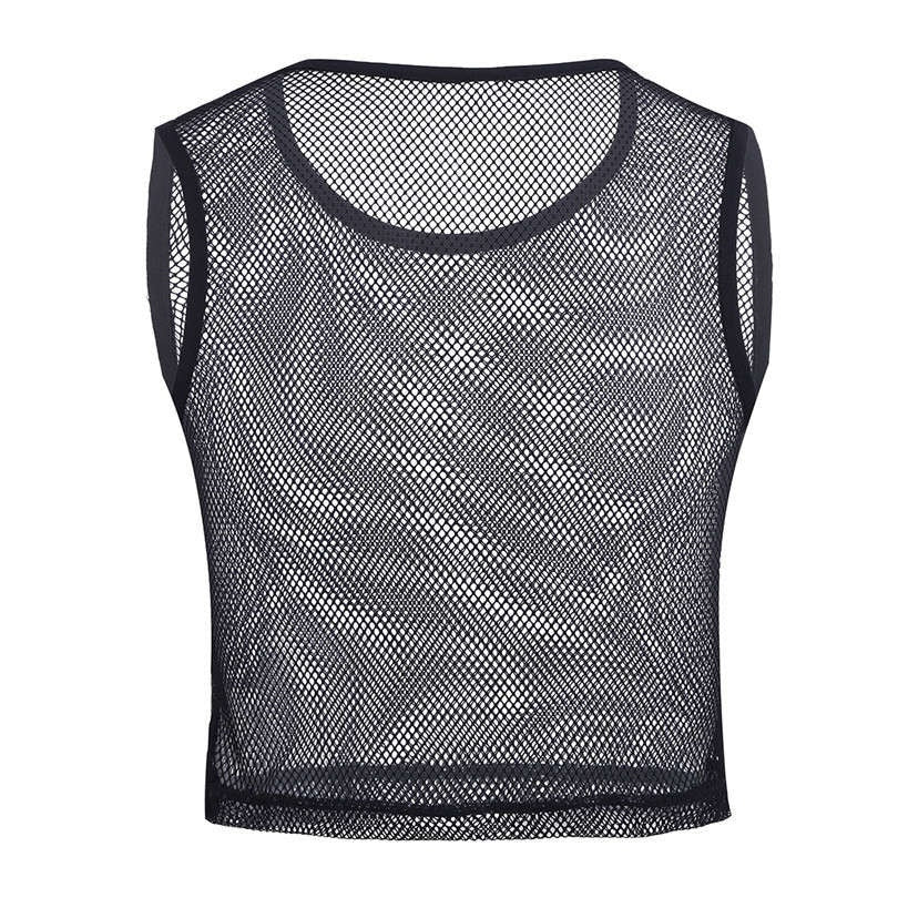 Silver Mesh See Through Crop Top – Queer In The World: The Shop