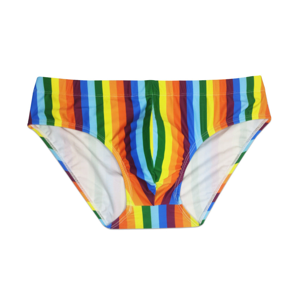 Rainbow Striped Swim Briefs – Queer In The World: The Shop