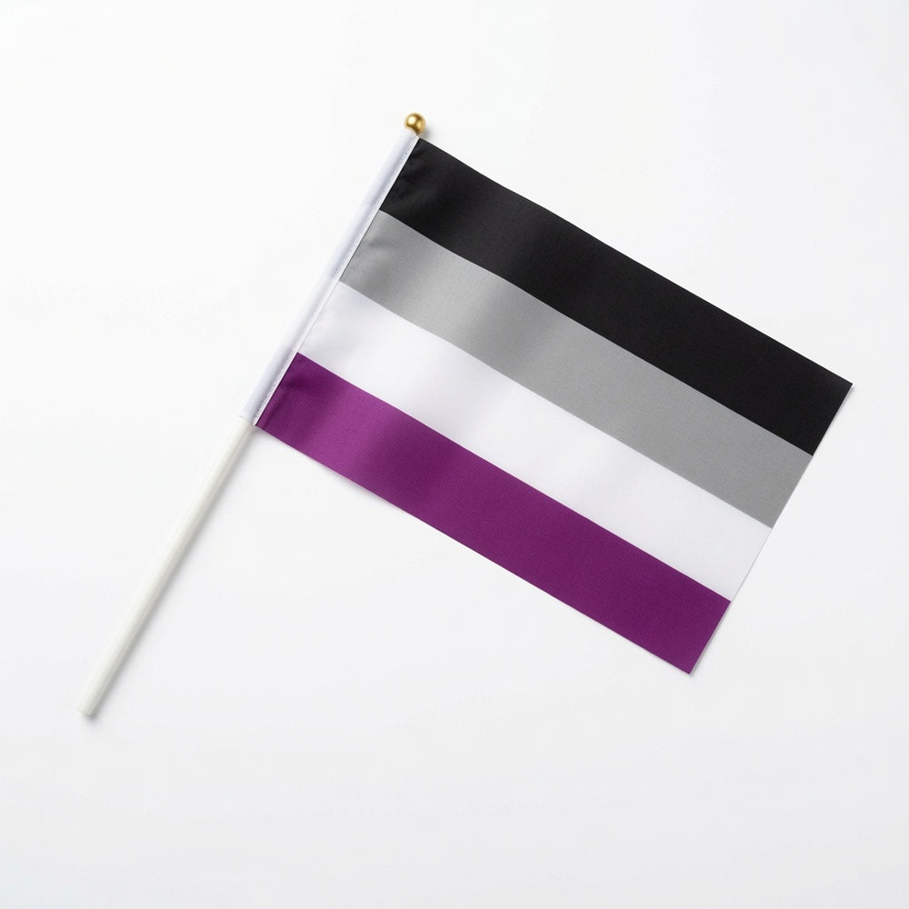 Small asexual pride flag with black, gray, white, and purple stripes on a white stick