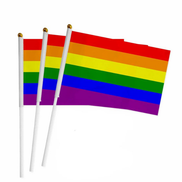 100 Handheld LGBT Pride Flags