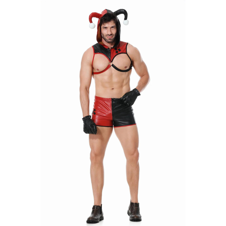 Carnival Cutie Gay Jester Costume