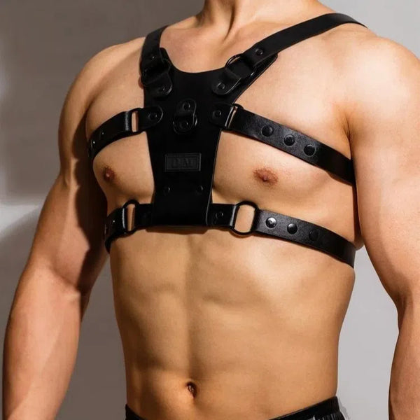 D.M. Black Adjustable Chest Strap Harness