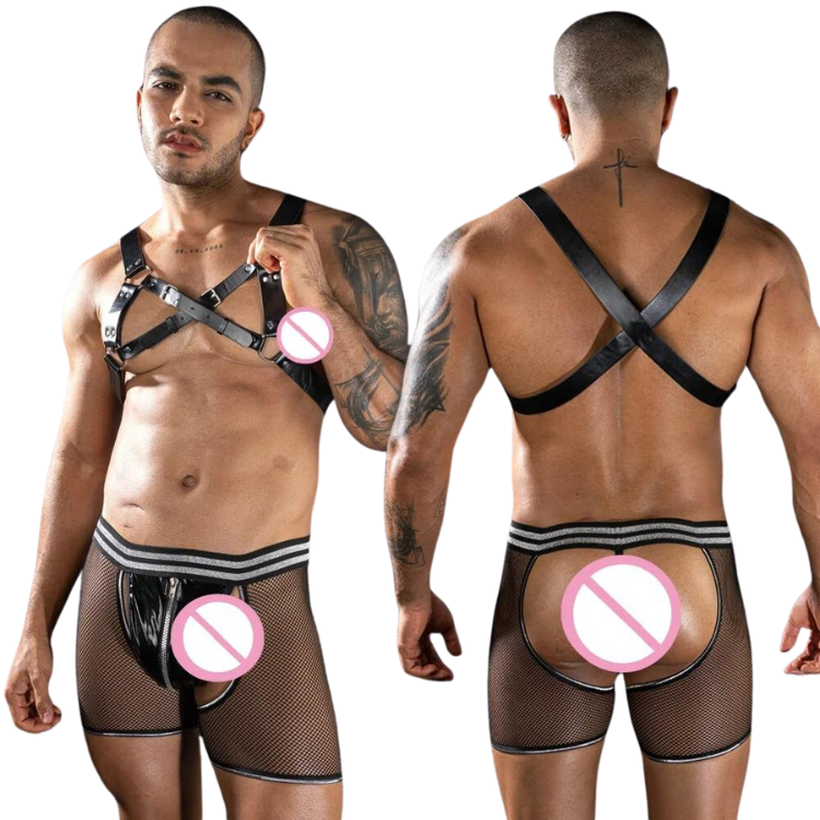 Forbidden Fantasy Harness and Mesh Briefs