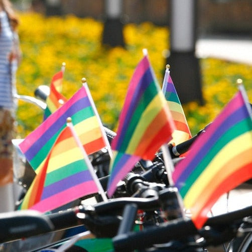 25 Handheld LGBT Pride Flags