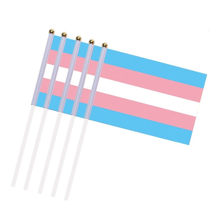 25 Handheld Transgender Pride Flags