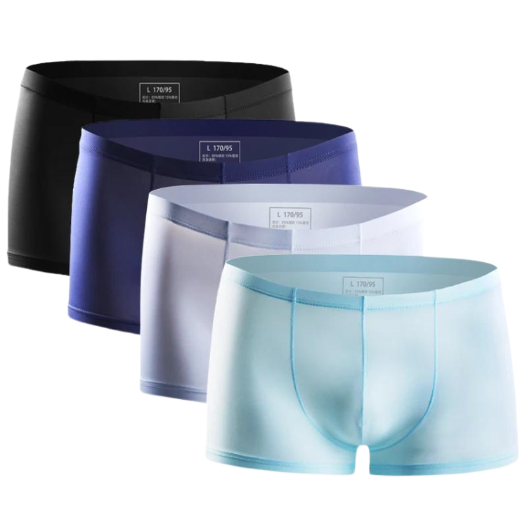 Ice Embrace Transparent Boxer Briefs (4 Pack)