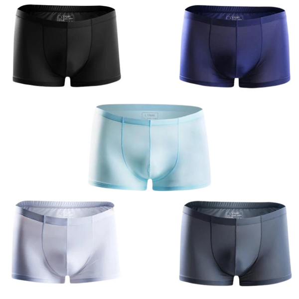 Ice Embrace Transparent Boxer Briefs (4 Pack)