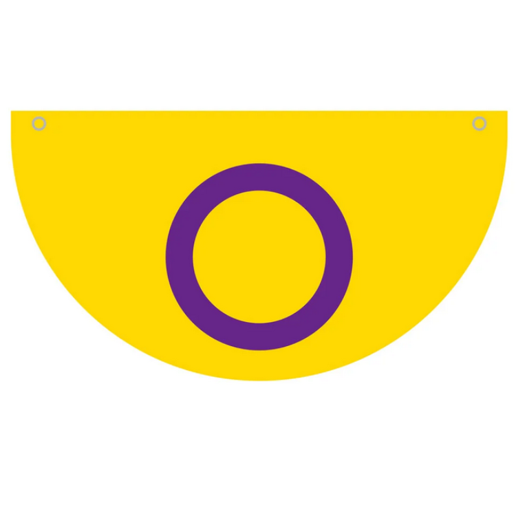 Intersex Pride Flag Bunting