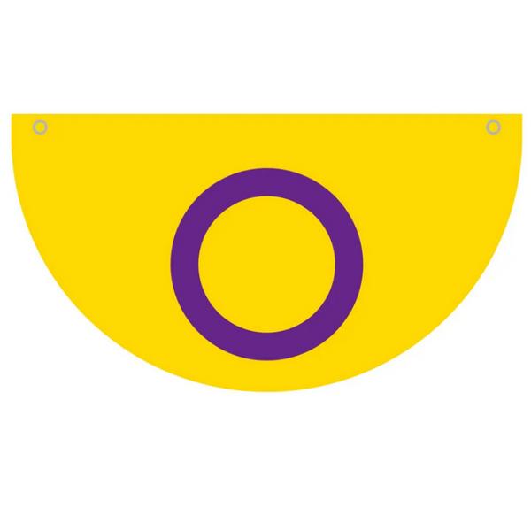 Intersex Pride Flag Bunting