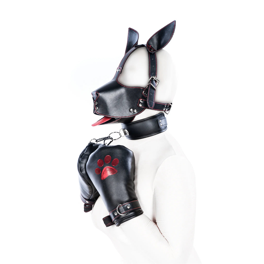 Kennel Club Pup Kit