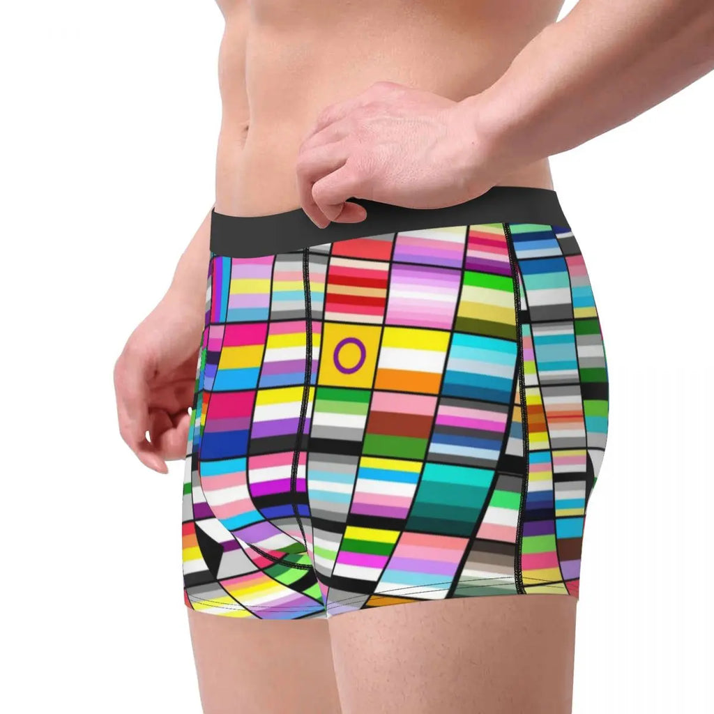 LGBT Flags Boxer Briefs