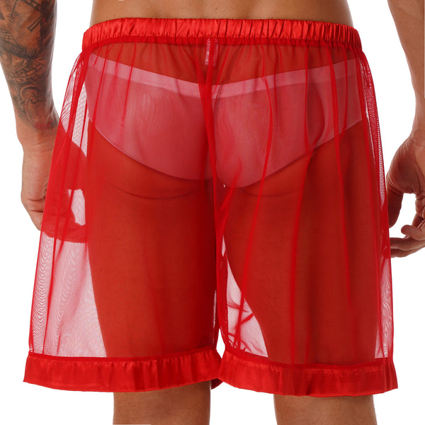 Dream Mesh Sheer Boxers