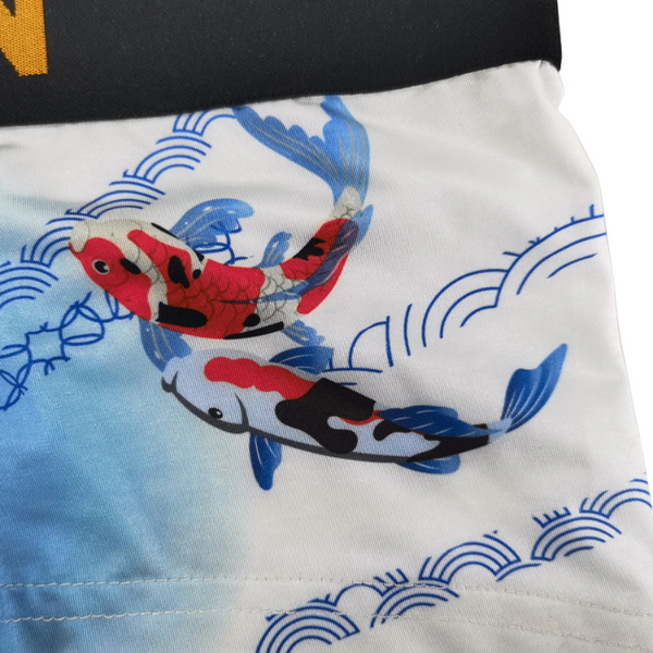 SEOBEAN Year of the Pisces Briefs