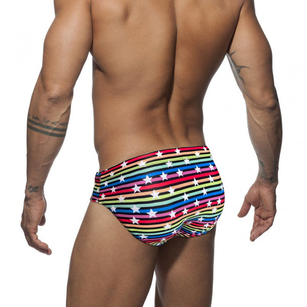 Silver Stud Rainbow Swim Briefs