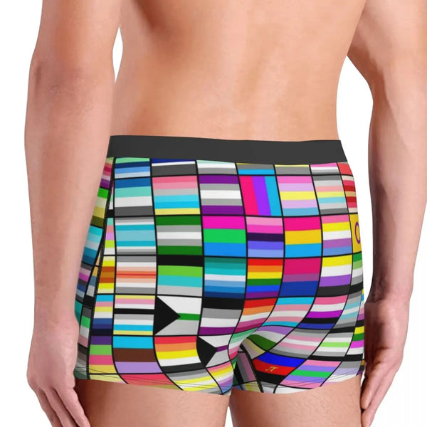 LGBT Flags Boxer Briefs