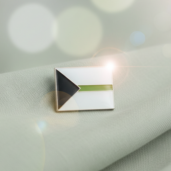 Demiromantic Pride Flag Heart Enamel Pin