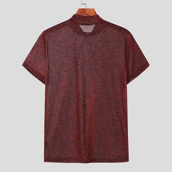 Burgundy short-sleeve mock-neck crop top with subtle glitter texture on a hanger