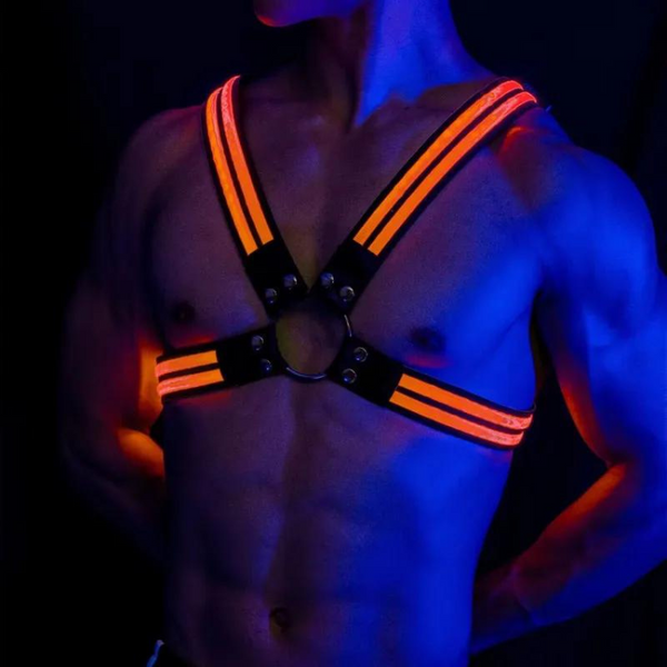 Shine Bright Circuit Party LED Harness