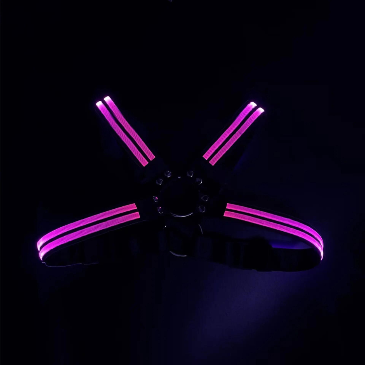 Shine Bright Circuit Party LED Harness – Queer In The World: The Shop