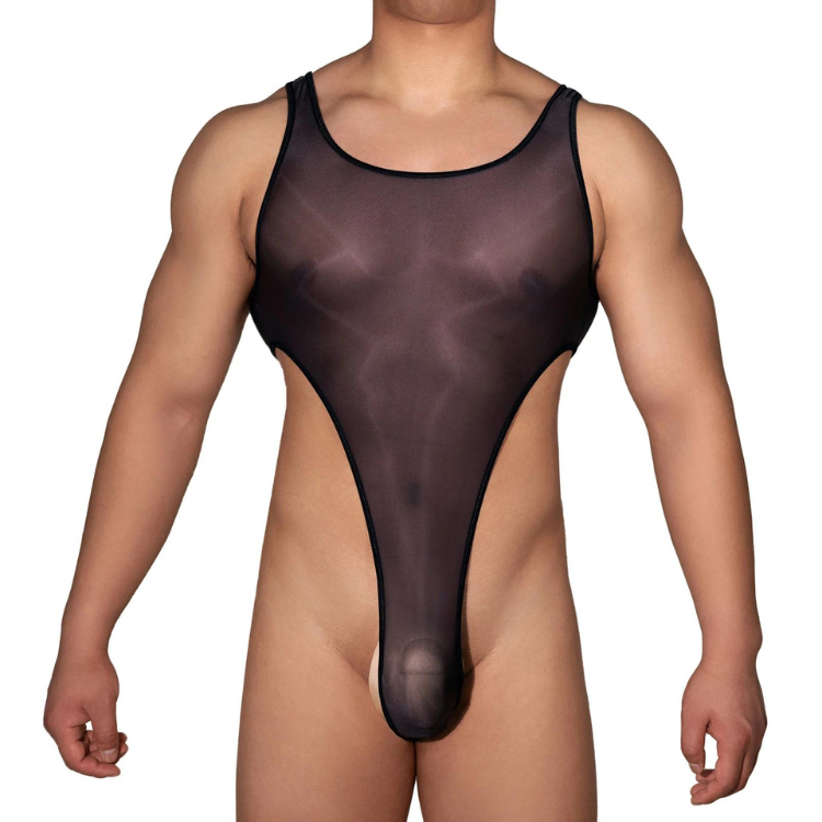 Sleek Sheer Glossy Gay Leotard