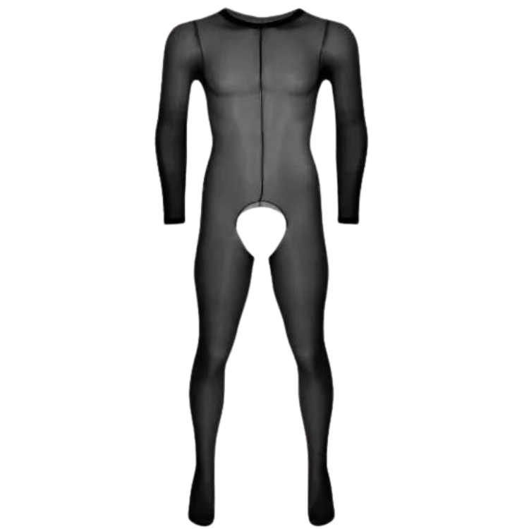 Front view of a black sheer long-sleeve bodystocking with an open crotch