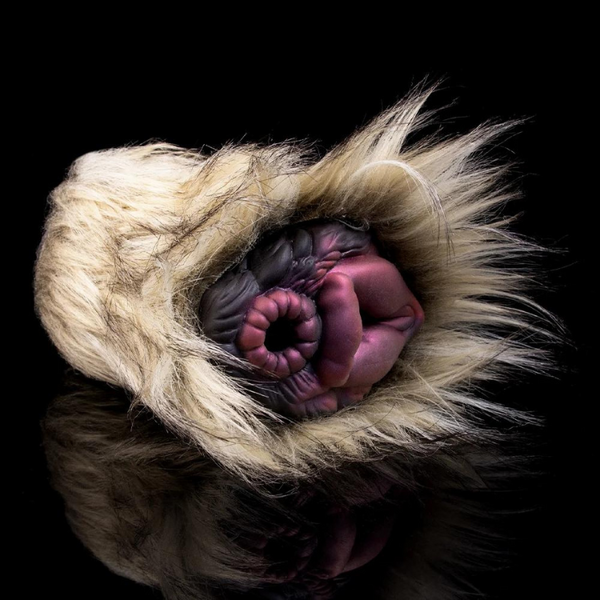 Furry fantasy dual-channel male stroker with two sculpted openings on a black reflective surface