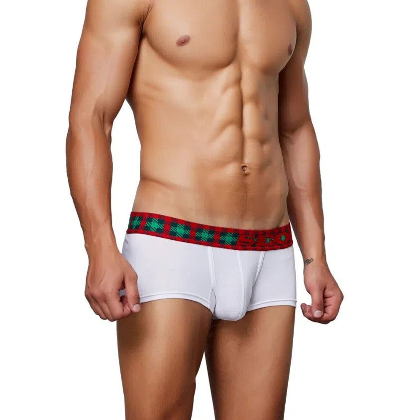 Front view of a model wearing white boxer briefs with a red and green tartan waistband