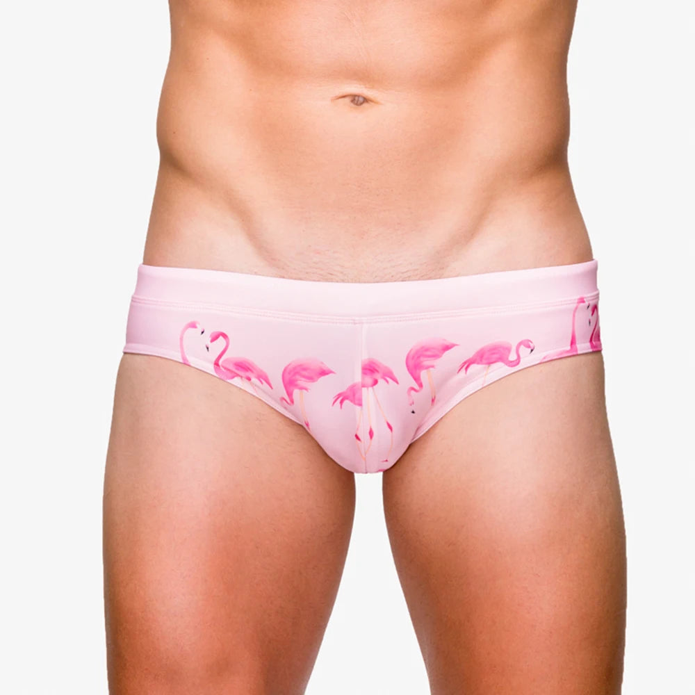 Front view of a model wearing pink flamingo-print swim briefs