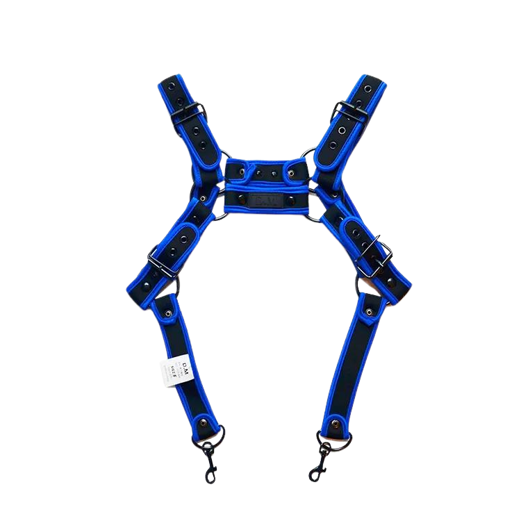 Front view of a blue leather shoulder-strap harness with black buckles and clips