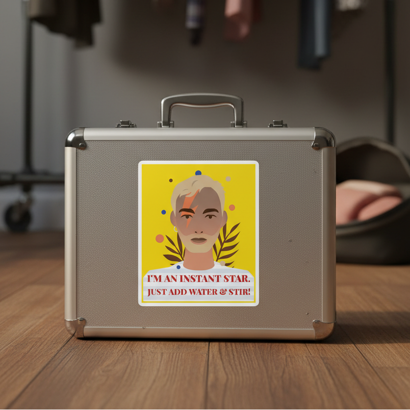 Silver briefcase with "I'M AN INSTANT STAR. JUST ADD WATER & STIR!" sticker, stylized face, on wood floor