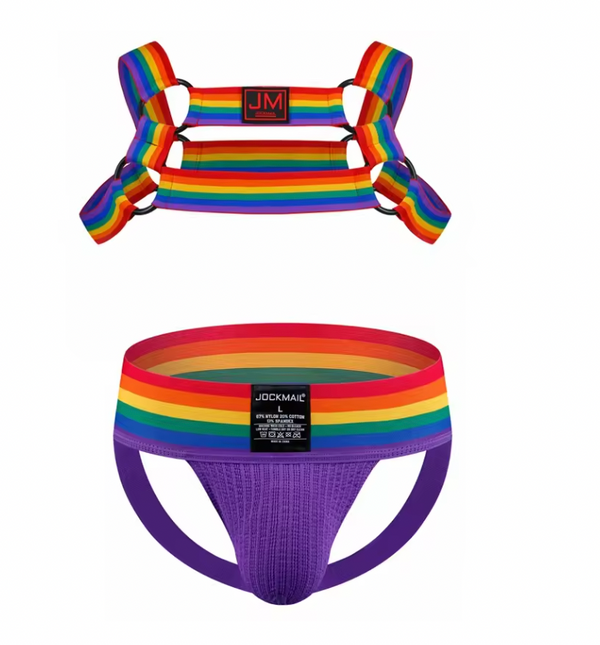 Flat lay of a rainbow-striped harness above a matching purple jockstrap