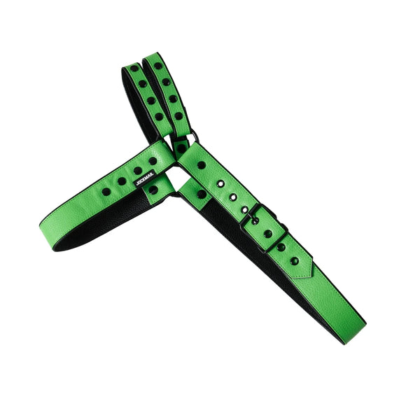 Flat-lay green and black leather tri harness with studs, buckles, and metal rings