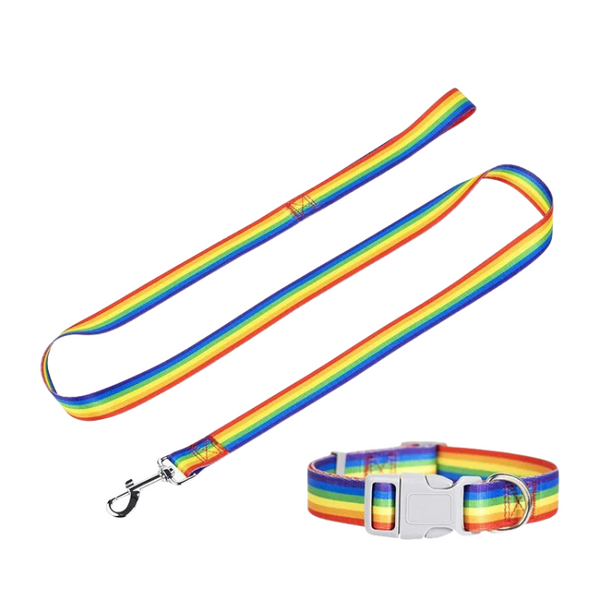 Rainbow-striped dog leash and matching collar arranged on a white background