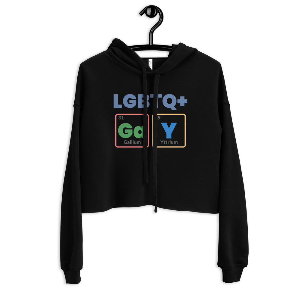 Front view of a black cropped hoodie on a hanger with “LGBTQ+” and Ga-Y element symbols.