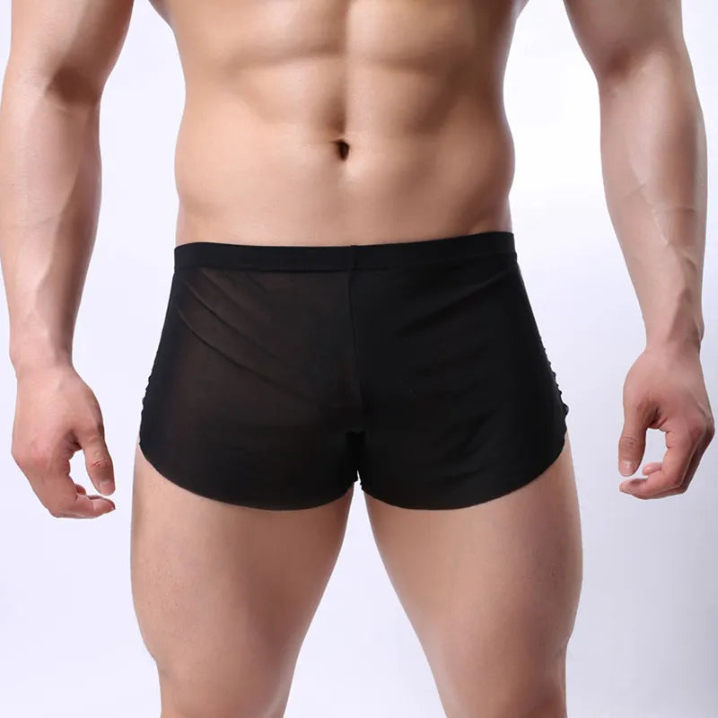 Front-view model wearing black boxer briefs with sheer mesh side panels