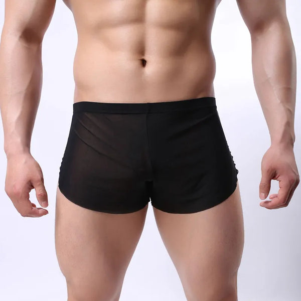 Front-view model wearing black boxer briefs with sheer mesh side panels