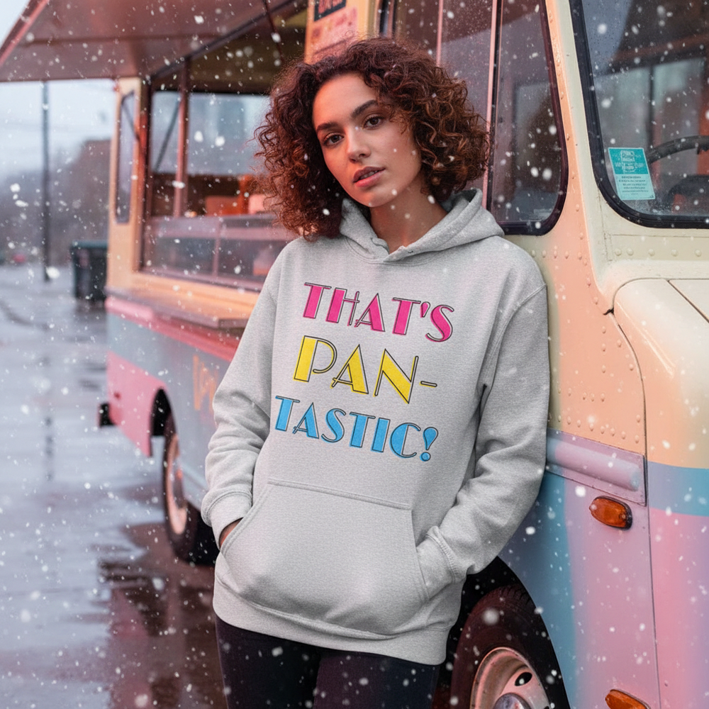 Gray hoodie reading “THAT’S PAN-TASTIC!” worn beside a pastel bus in falling snow