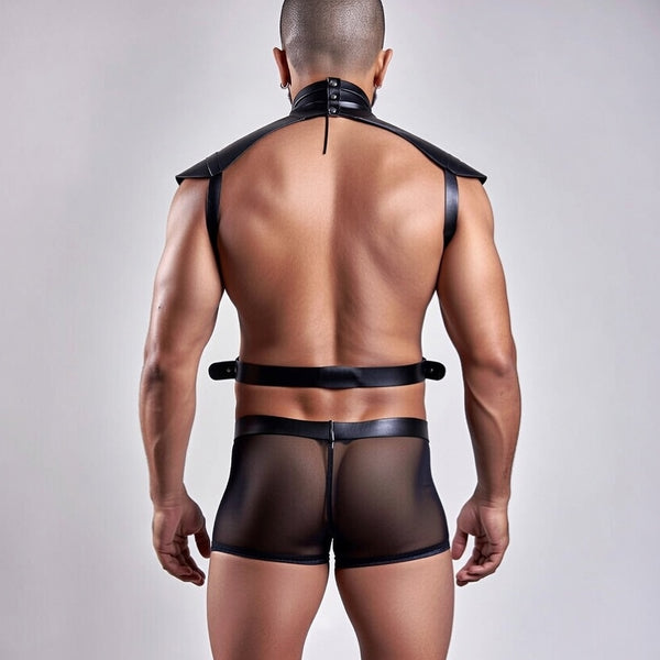 Rear view of a model wearing a black leather-look collar, straps, and sheer mesh shorts