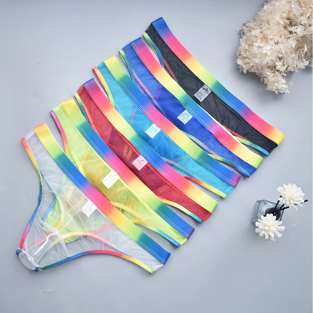 Overhead display of several sheer mesh briefs with rainbow-gradient waistbands