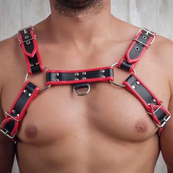 Close-up of a red and black leather chest harness with buckles, studs, O-rings, and a center ring