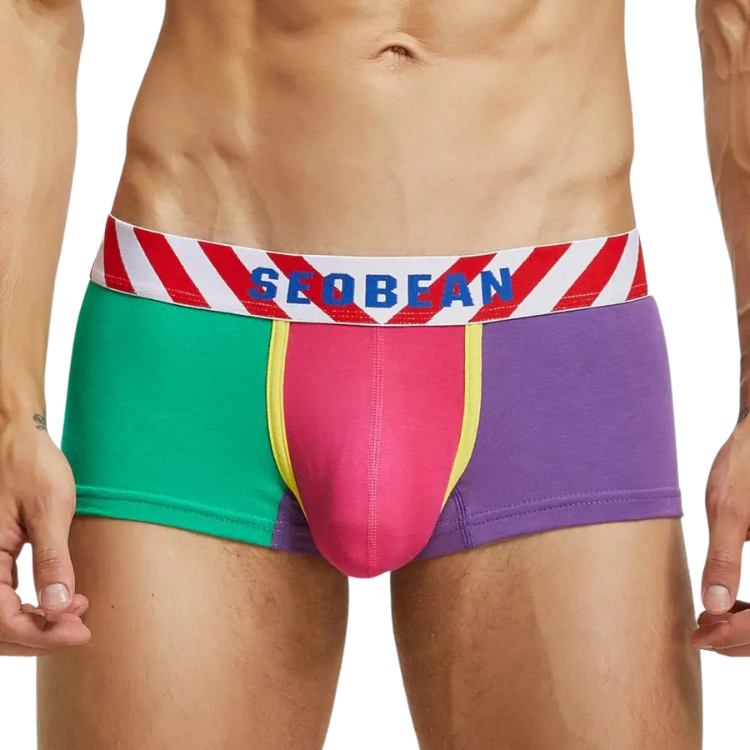 Front view of a model wearing bright color-block boxer briefs with a SEOBEAN waistband
