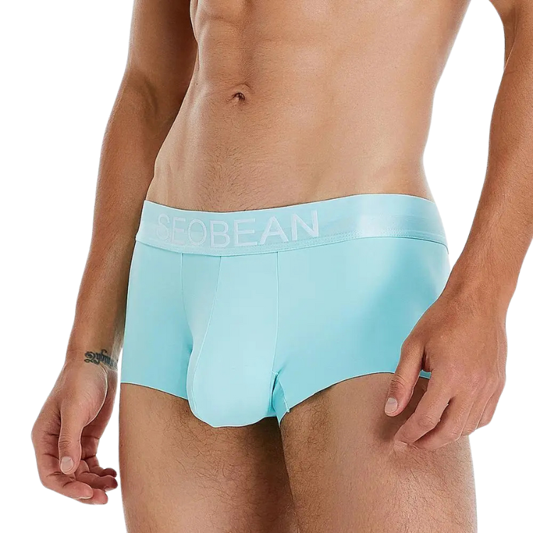 Front view of a model wearing light blue boxer briefs with a SEOBEAN waistband