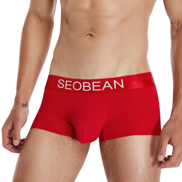 Front view of a model wearing red boxer briefs with a SEOBEAN waistband
