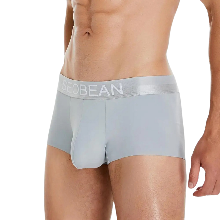 Front close-up of a model wearing light gray boxer briefs with a SEOBEAN waistband