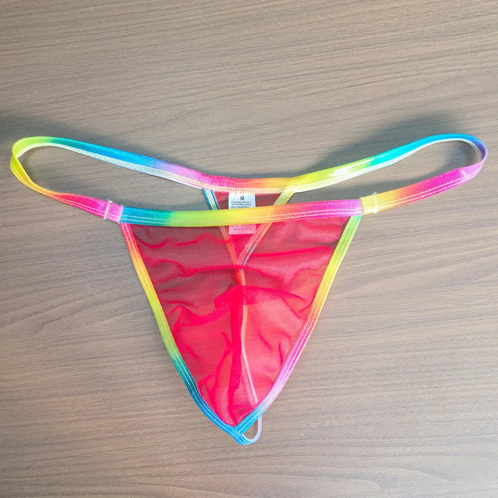Front-facing rainbow-trim sheer pink mesh thong laid flat on a wood surface