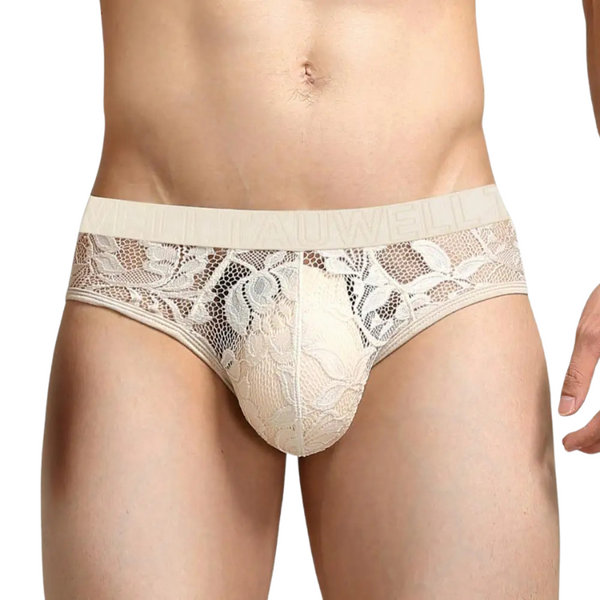 Front view of a model wearing sheer cream lace briefs with a wide waistband