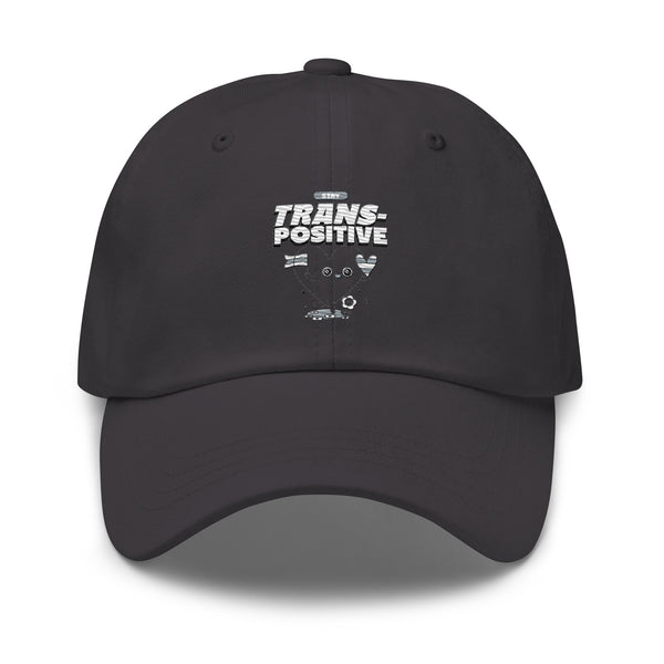 Front view of a black cap with white “STAY TRANS-POSITIVE” text and a small graphic