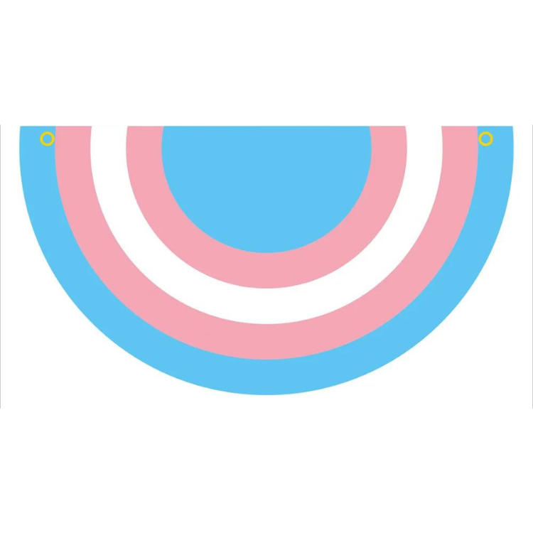 Close-up of transgender Pride bunting with pink, white, and blue semicircular flags