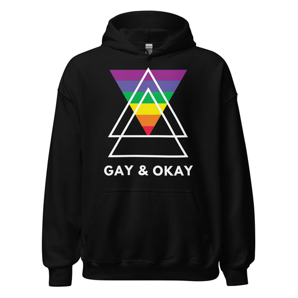 Gay & OK Unisex Hoodie