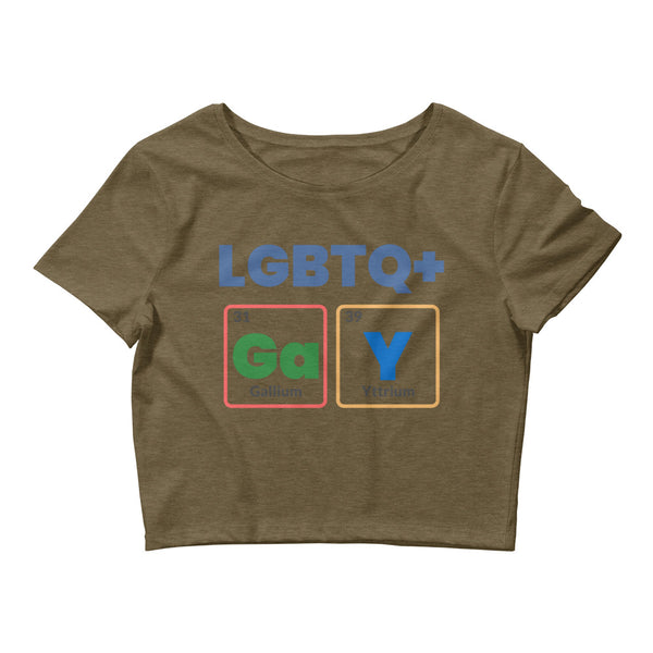 LGBTQ+ GaY Crop Top